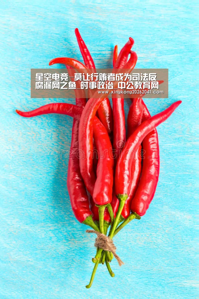 星空电竞-莫让行贿者成为司法反腐漏网之鱼_时事政治_中公教育网(图4) 星空下载