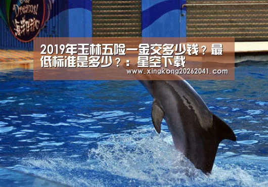 星空下载